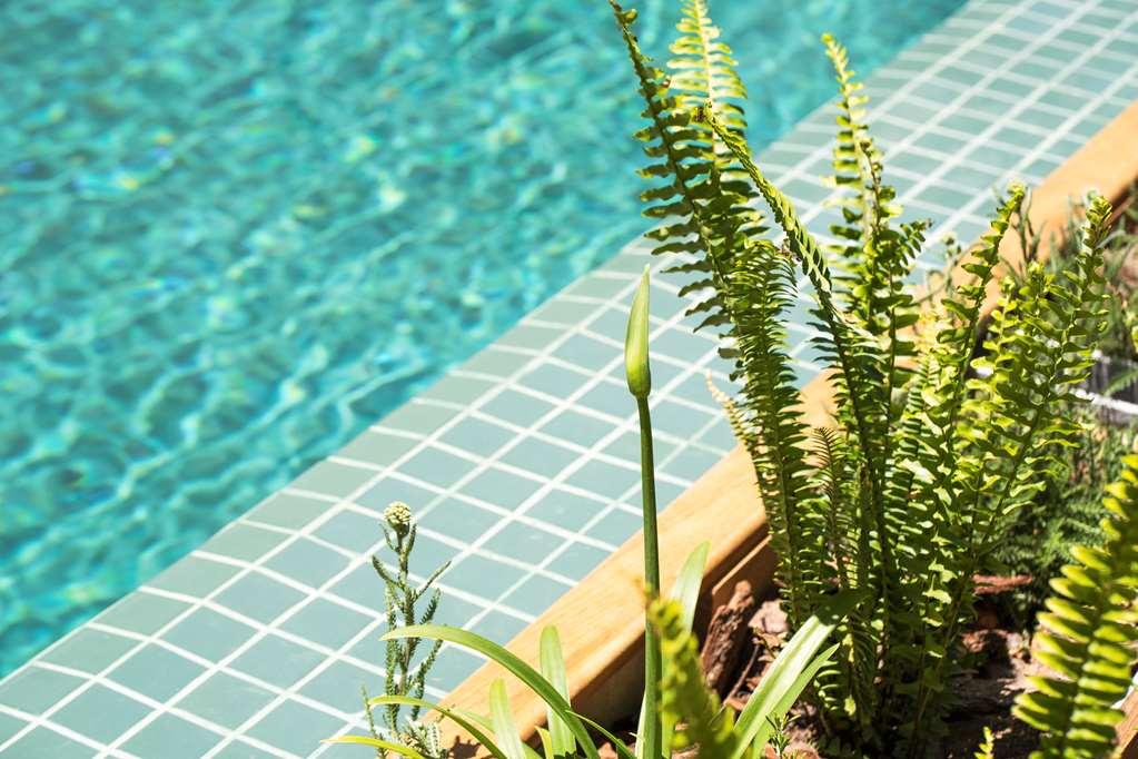 Hotel Costanero Montevideo - Mgallery สิ่งอำนวยความสะดวก รูปภาพ